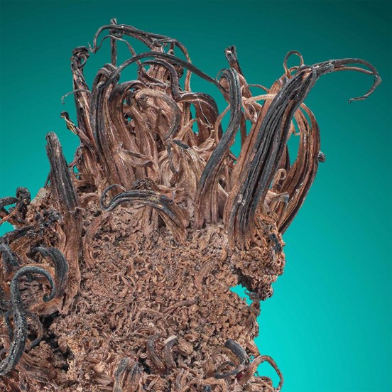 Silver-Schlema | Erzgebirge | Saxony | Germany